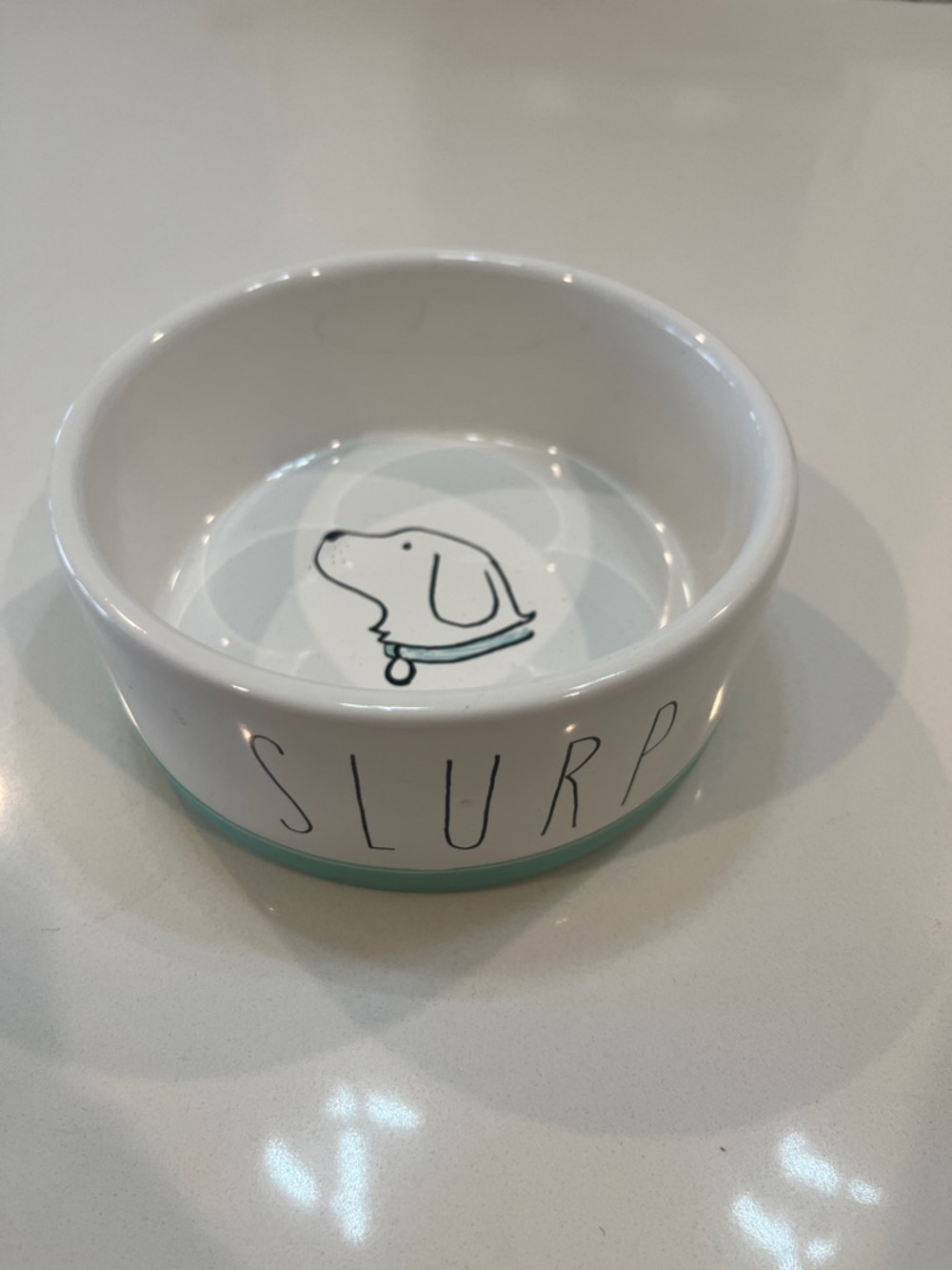 Ceramic Dog Bowl in White with Mint Accent - SLURP Design